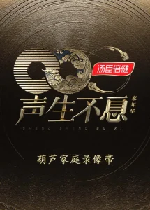 声生不息·家年华葫芦家庭录像带