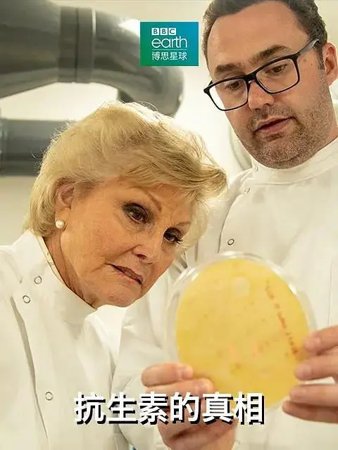 《抗生素的真相》全集高清完整版在线观看与剧情解析