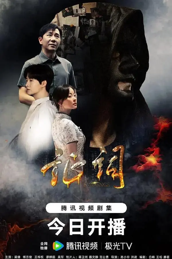 《证词》全集高清完整版在线观看与剧情解析