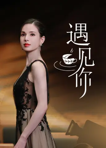 《遇见你2021》全集高清完整版在线观看与剧情解析